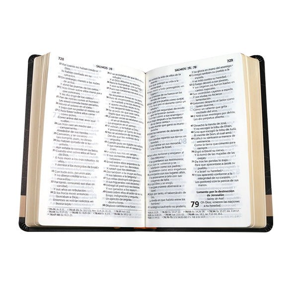 Biblia Reina Valera 1960 Letra Mediana 21x14 cm Tapa Pu PE AT Colores