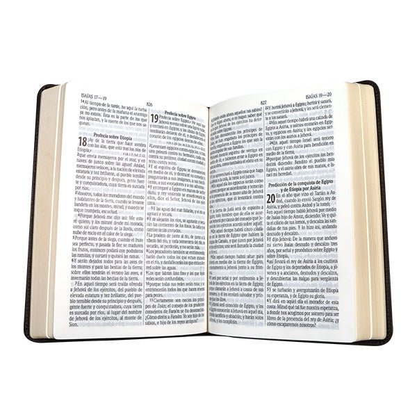 BIBLIA RVR065CLG LETRA 11p 21x14 TAPA PU PASTORAL CONCORDANCIA AZUL