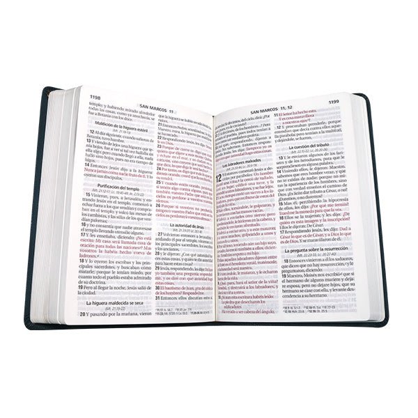 Biblia Reina Valera 1960 Letra Gigante 17x23cm Tapa PU Concordancia Turquesa