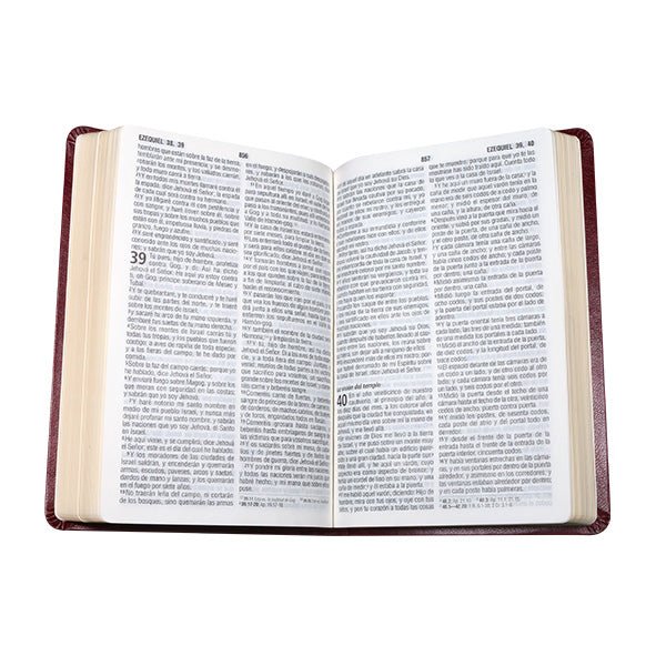 Biblia Reina Valera 1960 Letra Mediana 14x21cm Bordo