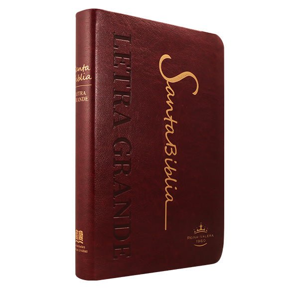 Biblia Reina Valera 1960 Letra Mediana 14x21cm Bordo