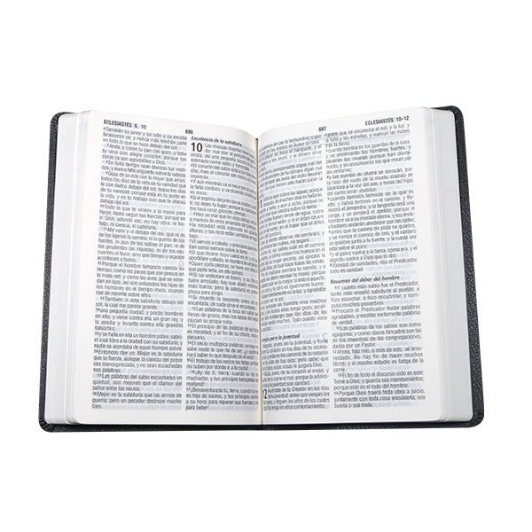 BIBLIA RVR065cLG PE SP LETRA 11p x 14x21 GRIS