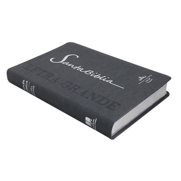 BIBLIA RVR065cLG PE SP LETRA 11p x 14x21 GRIS