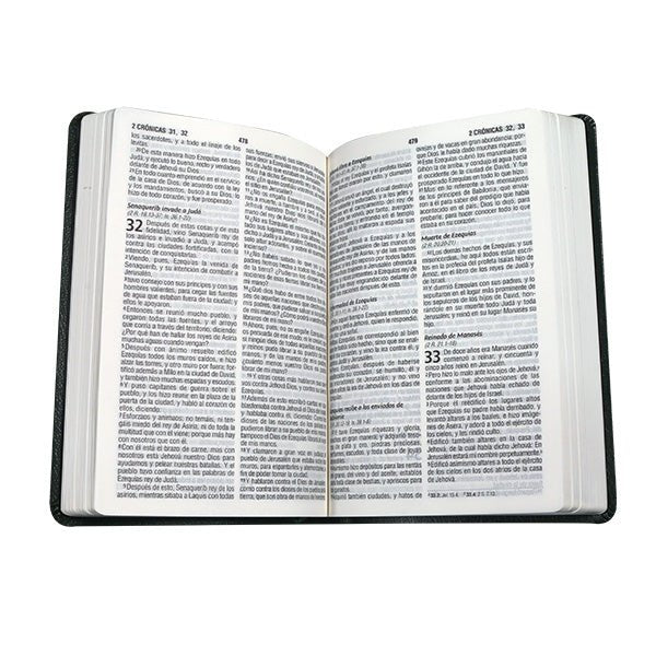 Biblia Reina Valera 1960 Letra Mediana 21x14cm Tapa PU PE Concordancia Verde Oscuro