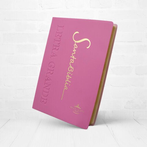 Biblia Reina Valera 1960 Letra Estándar Con Concordancia Tapa PU Rosada 14 x 21 cm