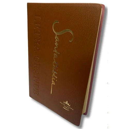 Biblia Reina Valera 1960 Letra Mediana 14x21cm Marrón