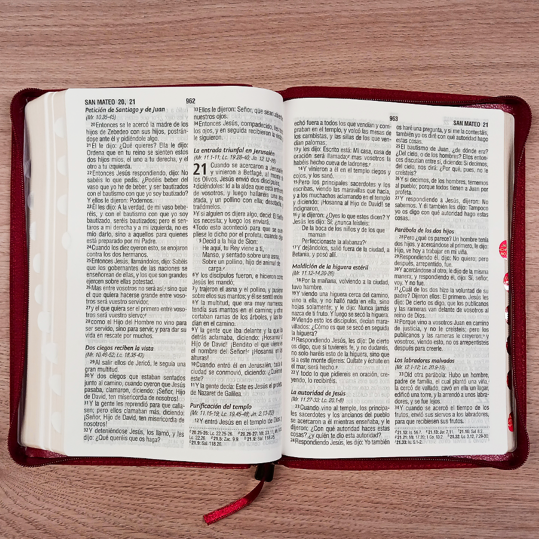 Biblia Reina Valera 1960 – Tapa Imitación Piel Vino, con Cierre, Concordancia, con Índice, Letra 11 Puntos