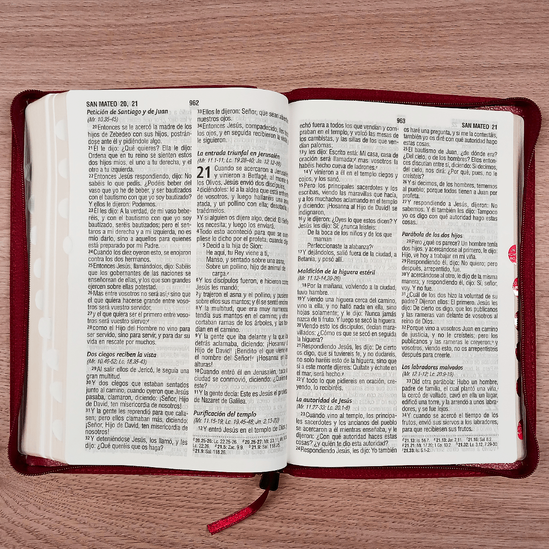 Biblia Reina Valera 1960 – Tapa Imitación Piel Vino, con Cierre, Concordancia, con Índice, Letra 11 Puntos