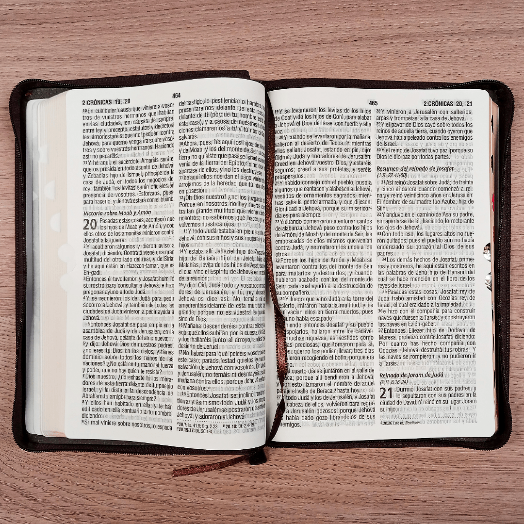 Biblia Reina Valera 1960 – Tapa Imitación Piel Marrón, con Cierre, Concordancia, con Índice, Letra 11 Puntos