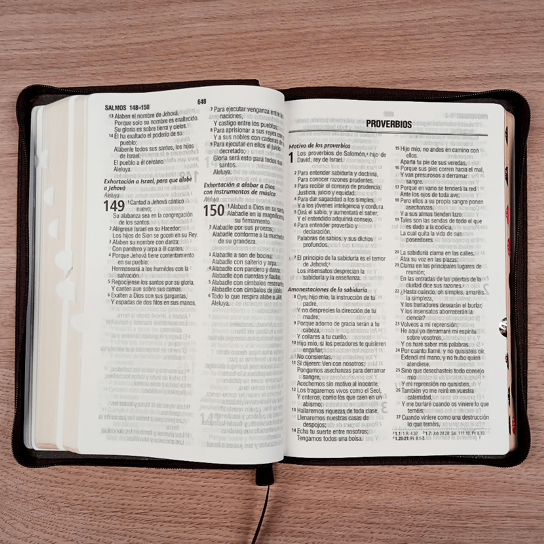 Biblia Reina Valera 1960 – Tapa Imitación Piel Marrón, con Cierre, Concordancia, con Índice, Letra 11 Puntos