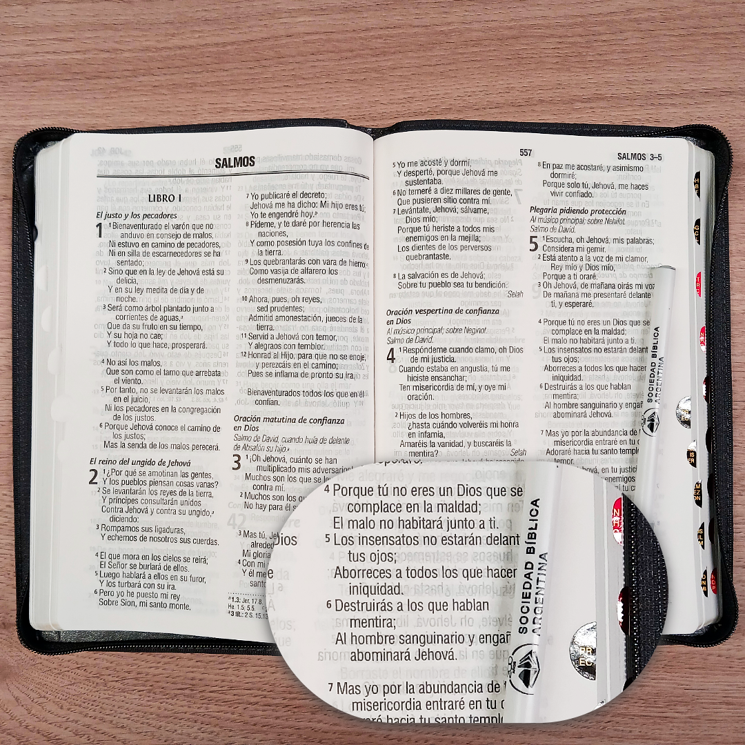Biblia Reina Valera 1960 – Tapa Imitación Piel Gris, con Cierre, Concordancia, con Índice, Letra 11 Puntos