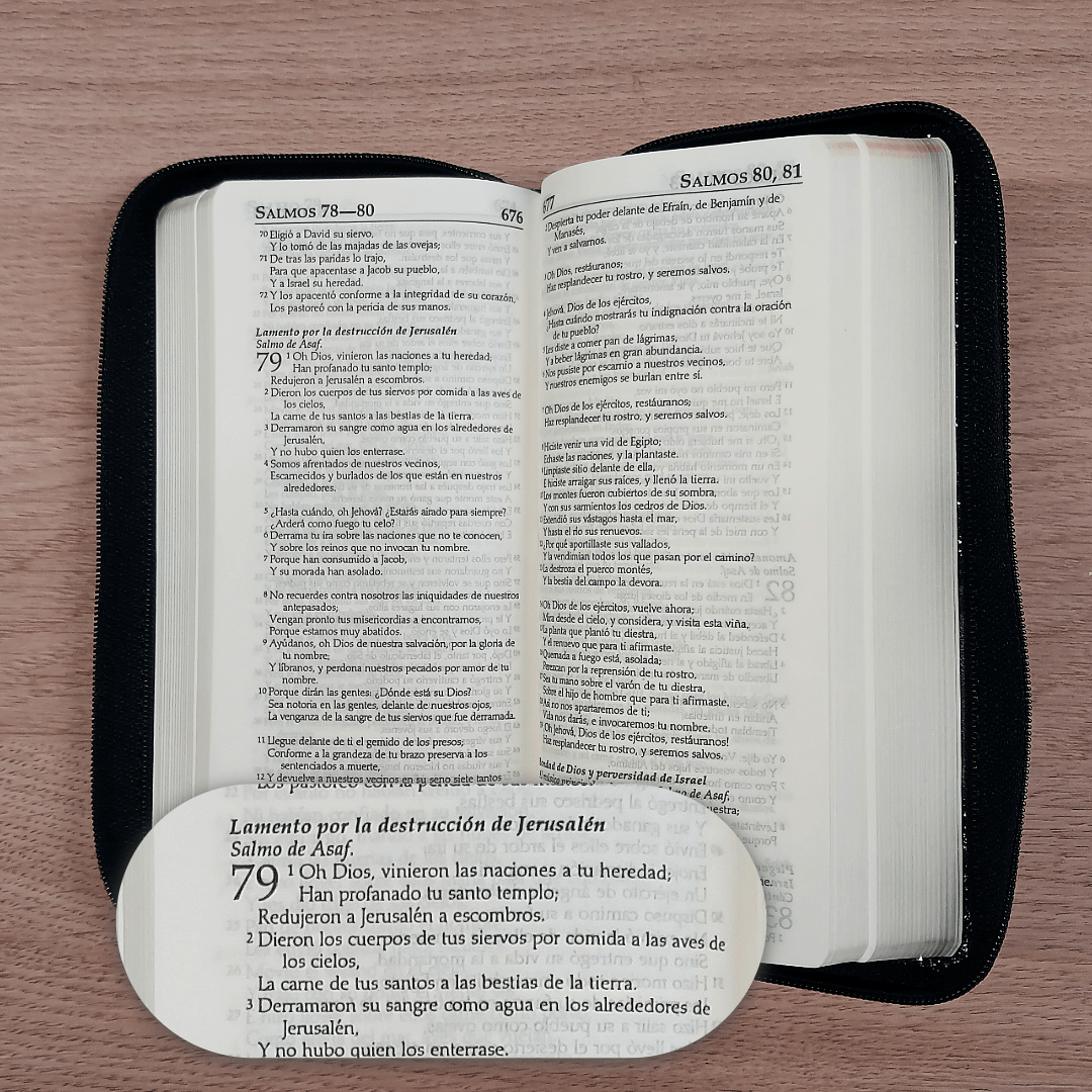 Biblia Reina Valera 1960 – Tapa Imitación Piel Gris, con Cierre, Letra 7 Puntos