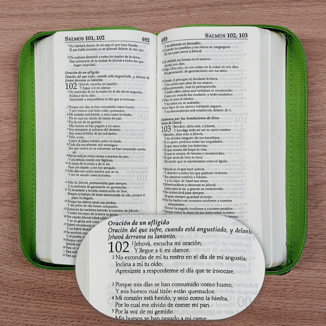 Biblia Reina Valera 1960 – Tapa Imitación Piel Verde, con Cierre, Letra 7 Puntos
