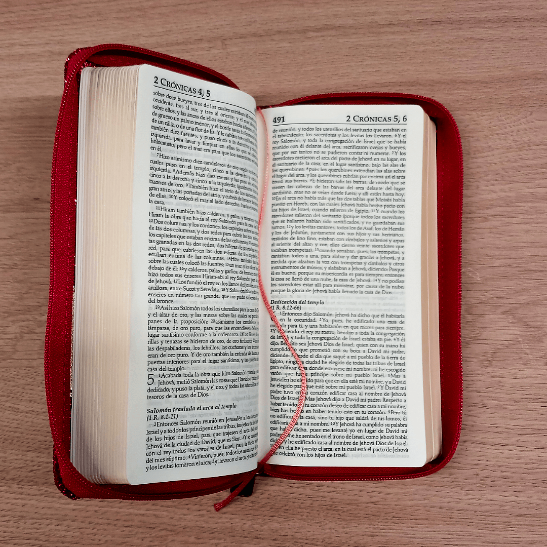 Biblia Reina Valera 1960 – Tapa Imitación Piel Rosado, con Cierre, Letra 7 Puntos