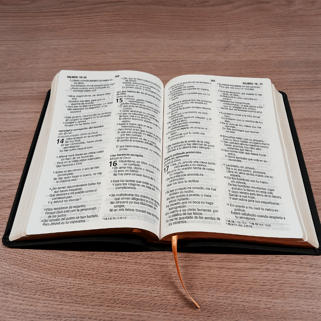 Biblia Reina Valera 1960 – Tapa Imitación Piel Gris, Concordancia, Letra 12 Puntos