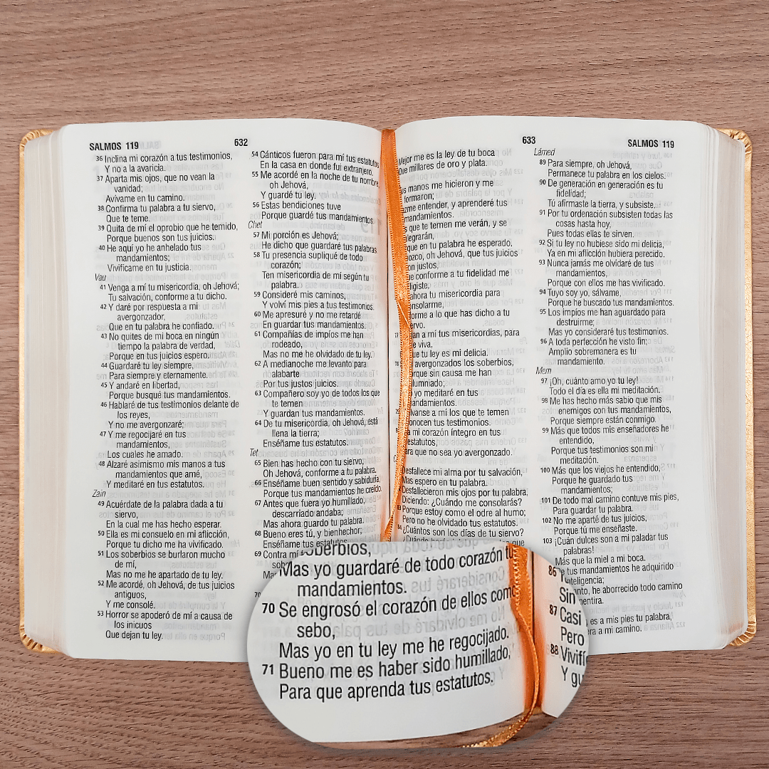 Biblia Reina Valera 1960 – Tapa Imitación Piel Amarillo, Concordancia, Palabras de Jesús en Rojo, Letra 11 Puntos