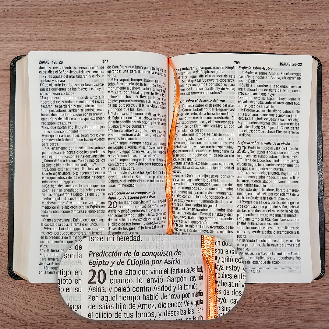 Biblia Reina Valera 1960 – Tapa Imitación Piel Gris Oscuro, Concordancia, Letra 11 Puntos
