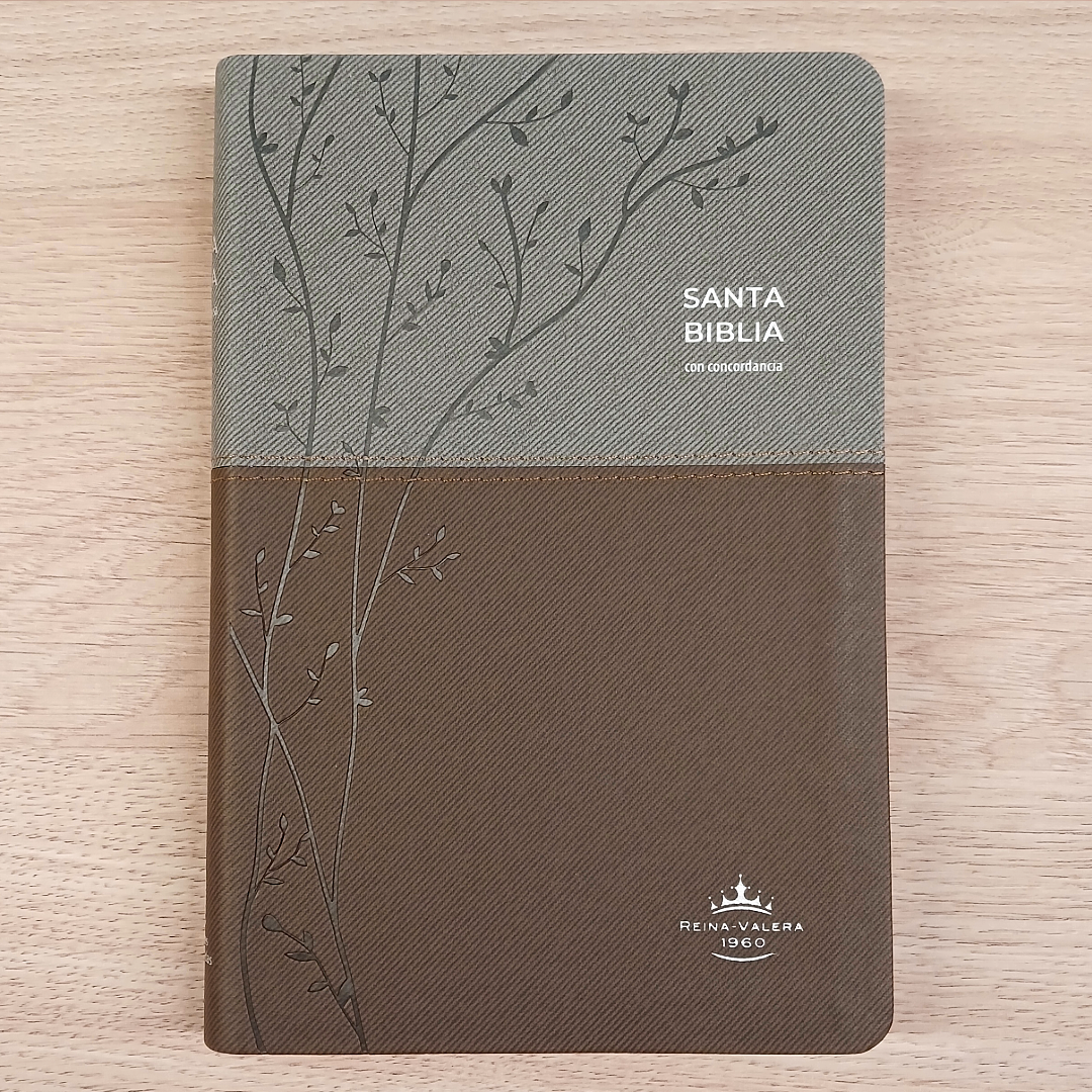 Biblia Reina Valera 1960 – Tapa Imitación Piel Gris y Café Oscuro, Concordancia, Palabras de Jesús en Rojo, Letra 12 Puntos
