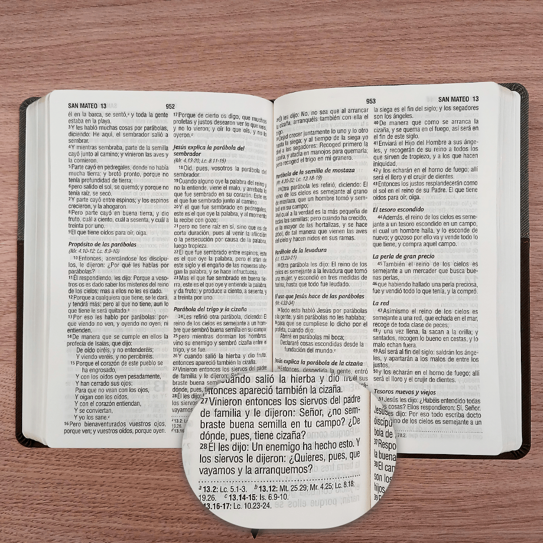 Biblia Reina Valera 1960 – Tapa Imitación Piel Gris y Café Oscuro, Concordancia, Palabras de Jesús en Rojo, Letra 12 Puntos
