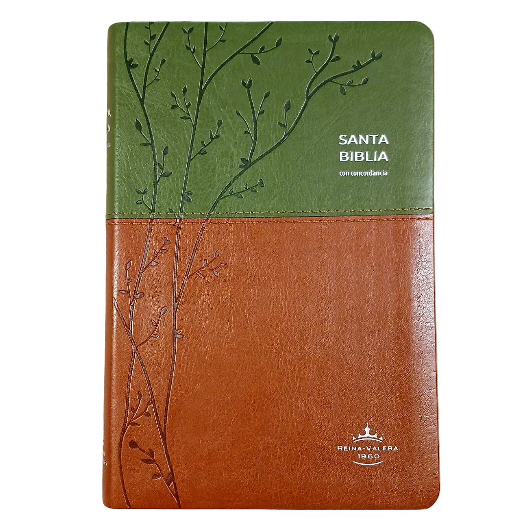 Biblia Reina Valera 1960 – Tapa Imitación Piel Verde y Café, Concordancia, Palabras de Jesús en Rojo, Letra 12 Puntos