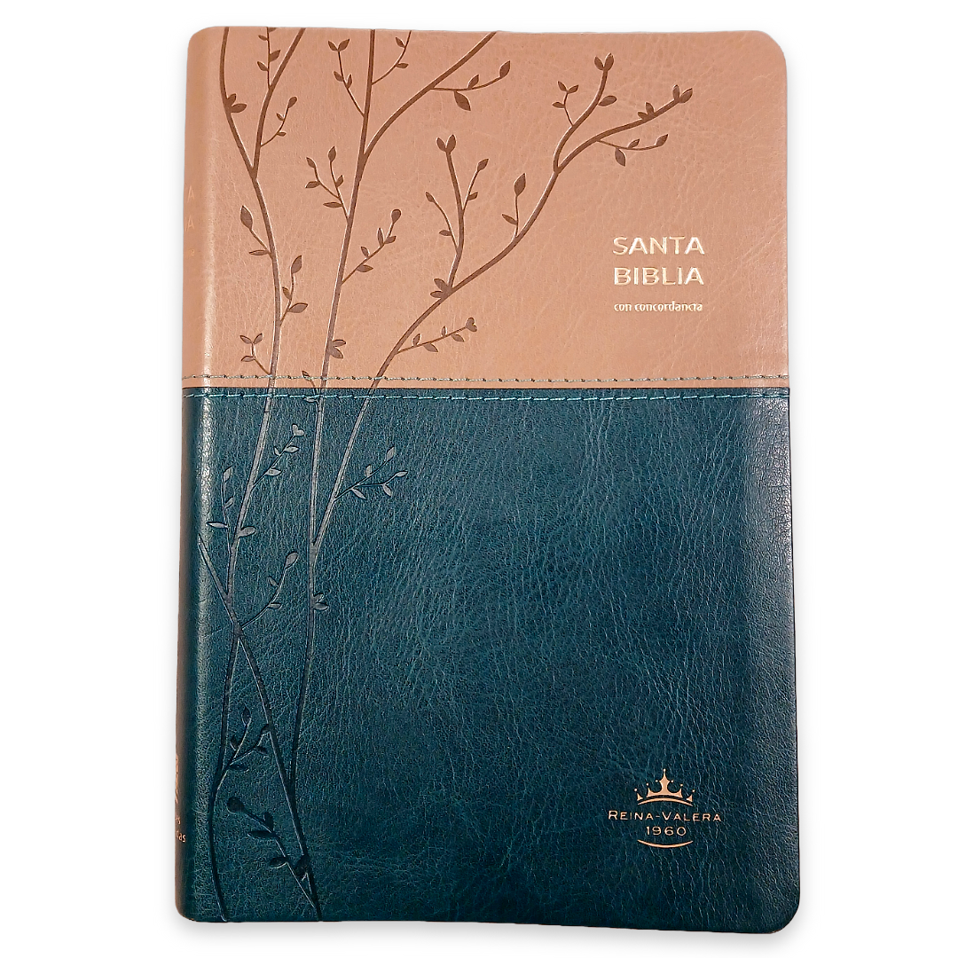 Biblia Reina Valera 1960 – Tapa Imitación Piel Beige y Turquesa, Concordancia, Palabras de Jesús en Rojo, Letra 12 Puntos