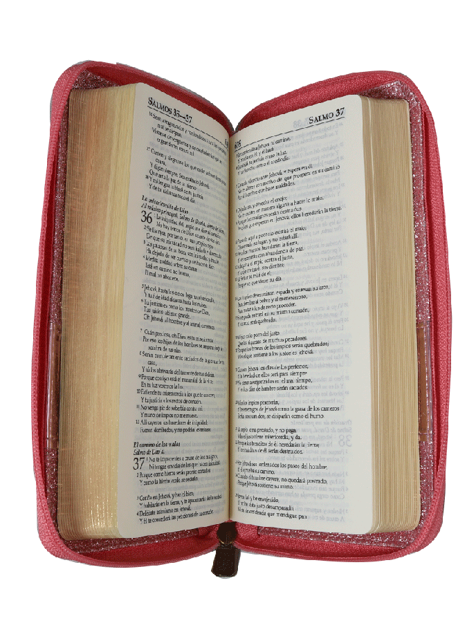 BIBLIA RVR035XZ MD LETRA 9p 8x17 TAPA PU CIERRE ROSA CLARO