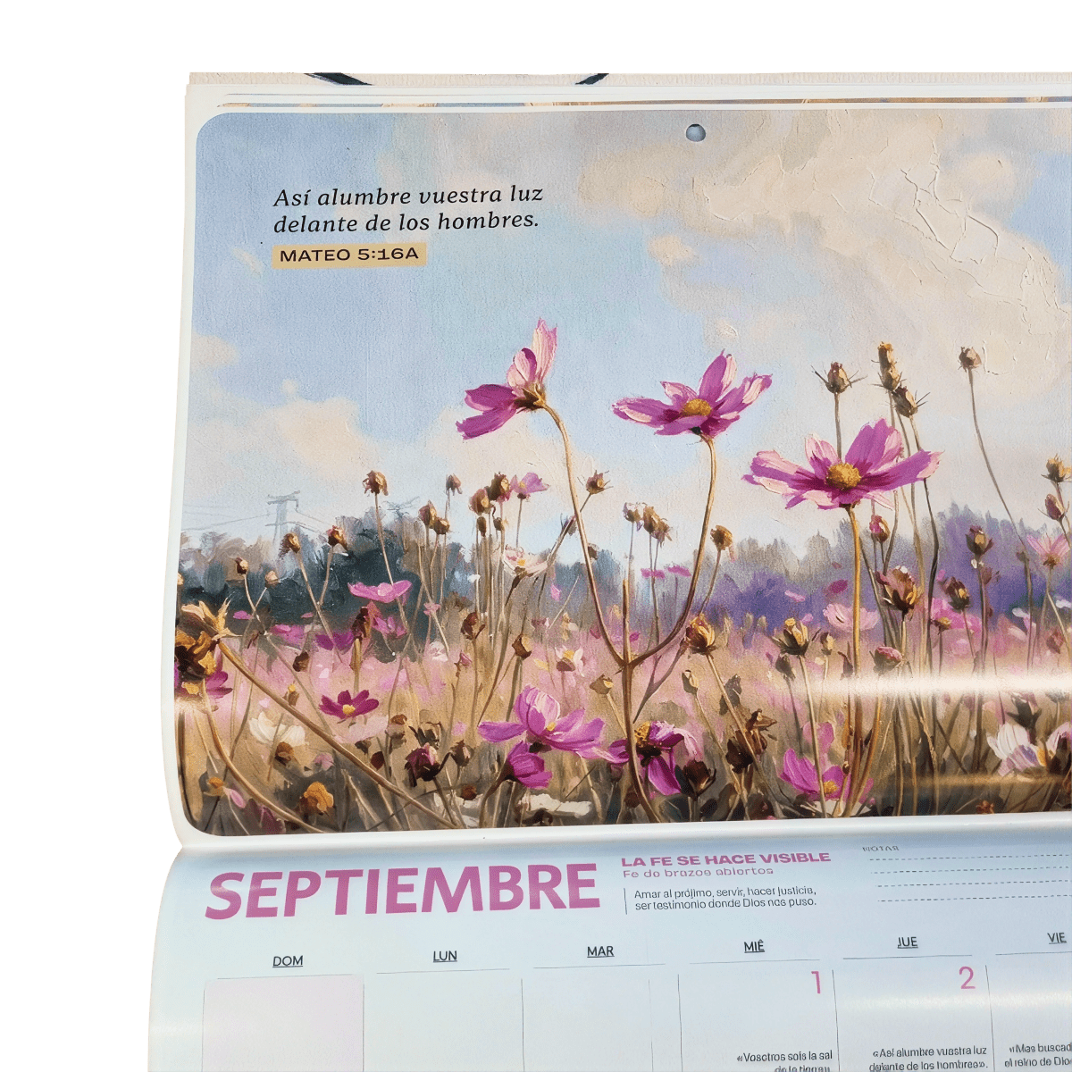 Calendario 2027 - UN AÑO DE GRACIA