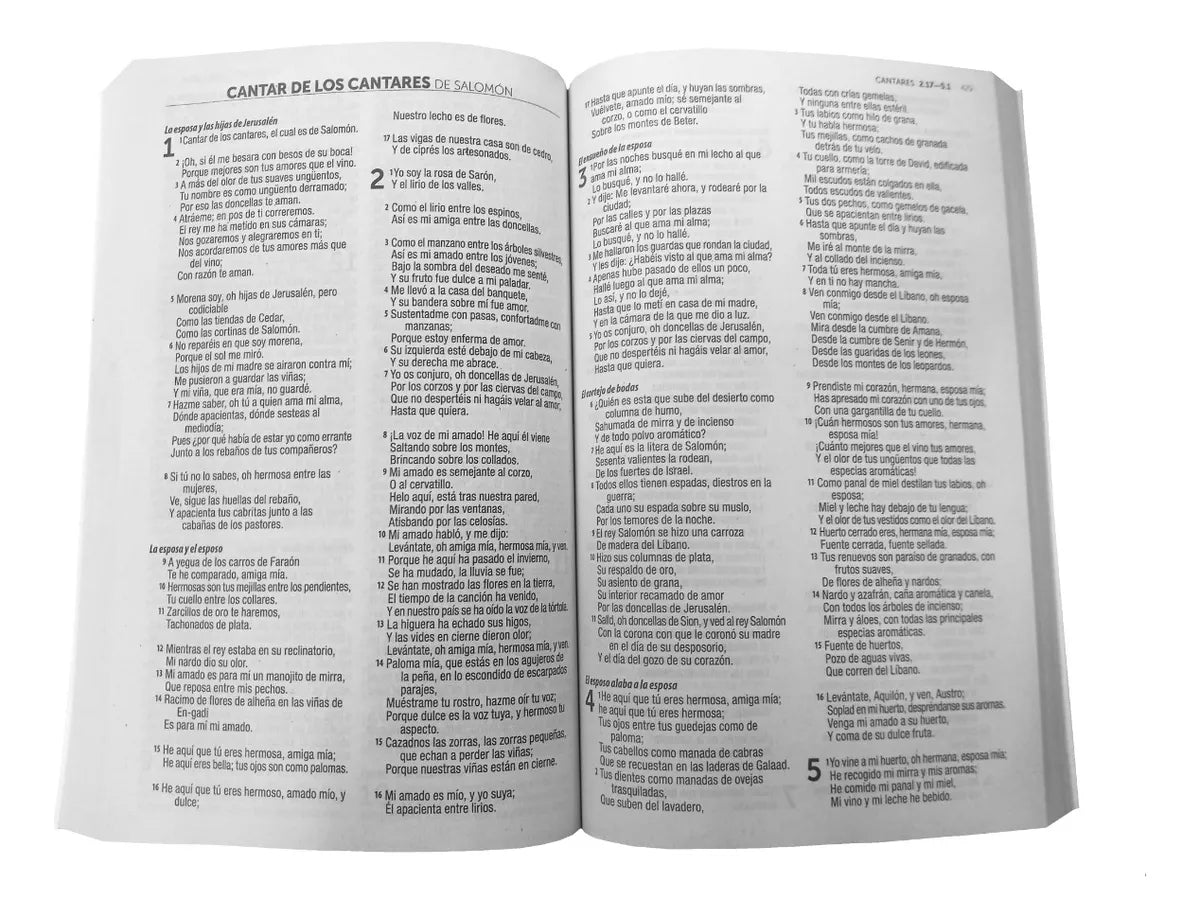 Biblia Reina Valera 1960 Misionera 1M Económica Paloma