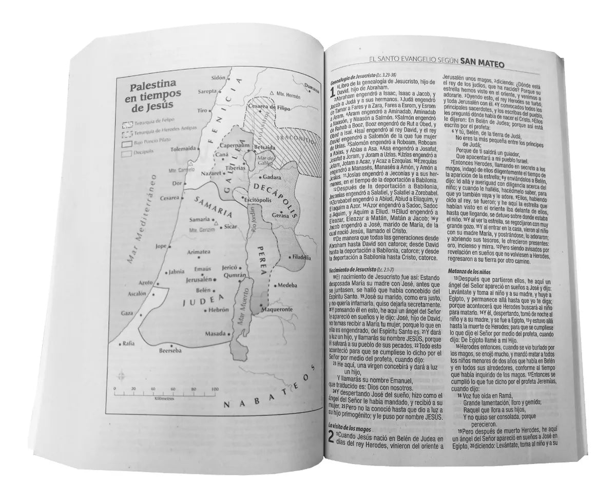 Biblia Reina Valera 1960 Misionera 1M Económica Paloma