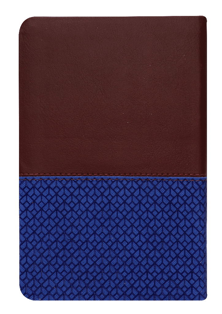 Biblia reina Valera 1960 letra Grande Llamados a la Reconciliación Indice de Estudio Azul Canto Plateado