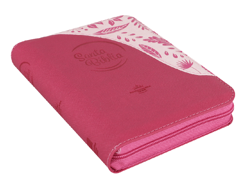 Biblia Reina Valera 1960 Cierre Fucsia Rosa Canto Plata Qr
