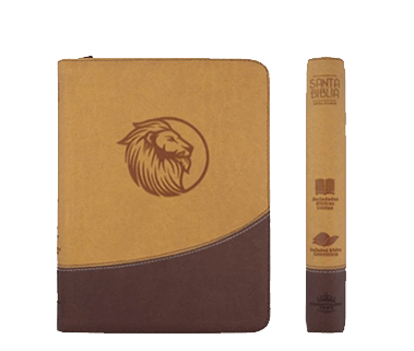 Biblia Reina Valera 1960 Letra Gigante Cierre Beige Cafe Qr 17 X 24 CM