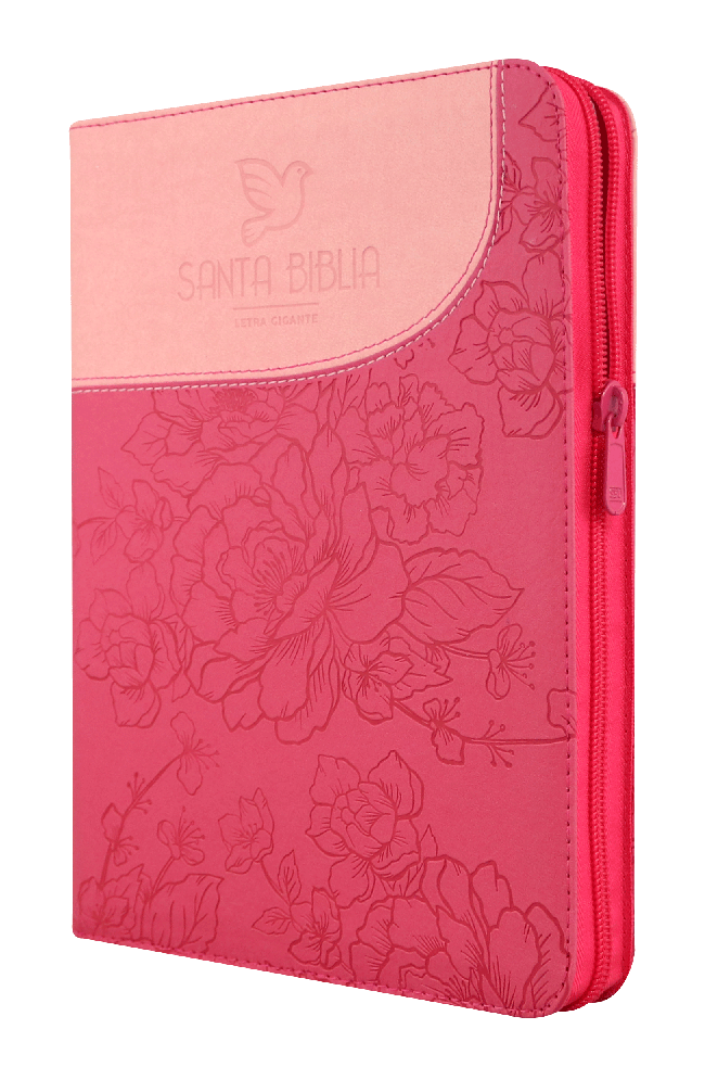 Biblia Reina Valera 1960 Letra Gigante Cierre Índice Rosa Qr