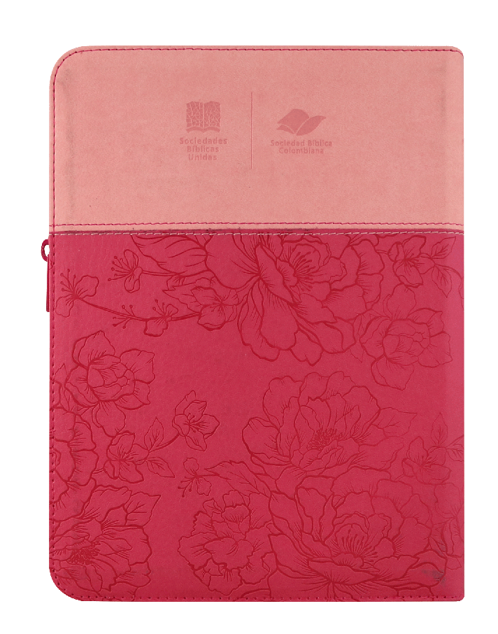 Biblia Reina Valera 1960 Letra Gigante Cierre Índice Rosa Qr