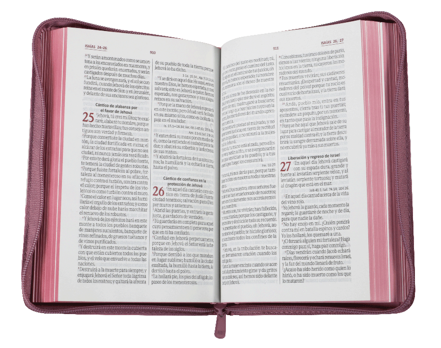 Biblia Reina Valera 1960 Letra Grande Cierre Rosa Flores Qr