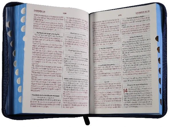 BIBLIA REINA VALERA 1960 054cLGZTI PJR L 11 p 15 x 20 CIERRE T JEAN CONCORDACIA PJR INDICE