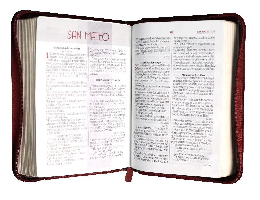 BIBLIAREINA VALERA 1960 055cLGZPJRa L 10p 13x19 CONCORDANCIA CIERRE PJR IMITACION PIEL BORDO QR
