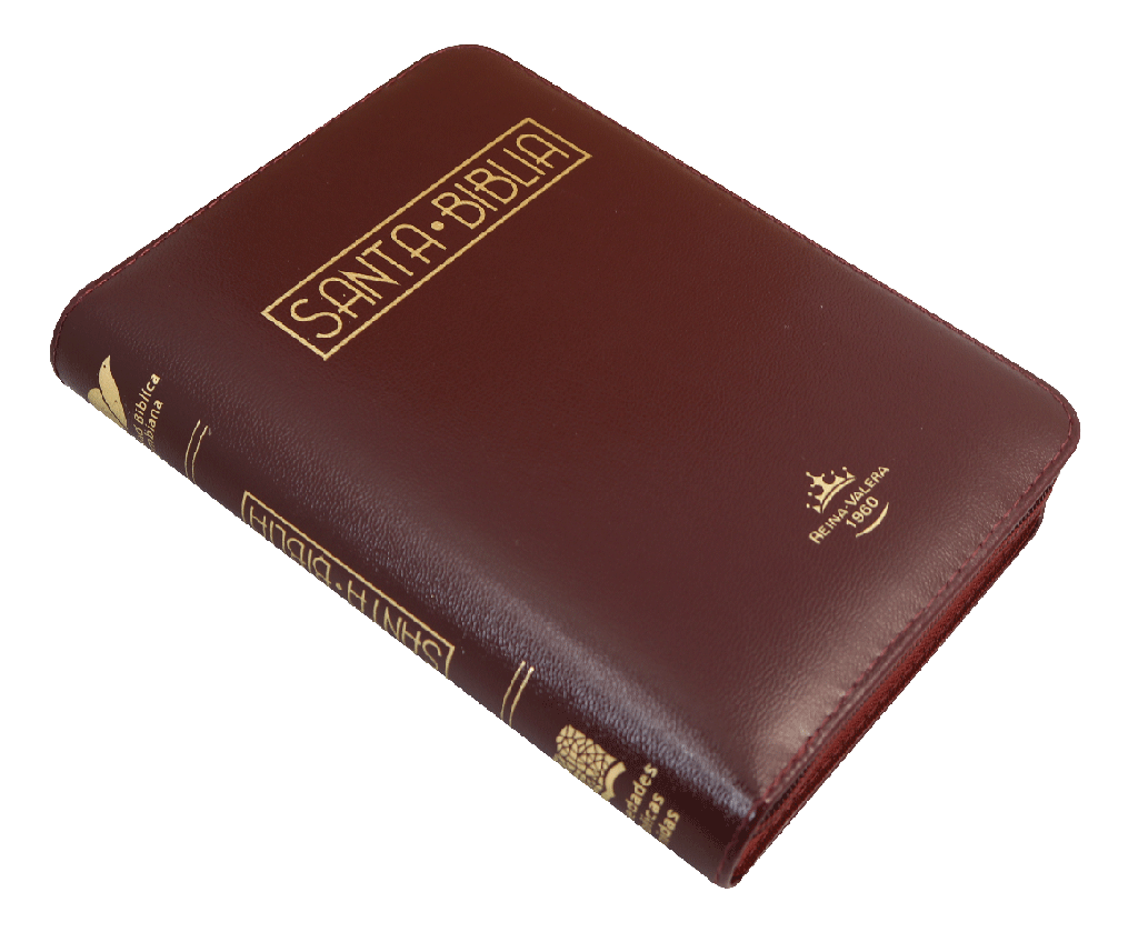 BIBLIAREINA VALERA 1960 055cLGZPJRa L 10p 13x19 CONCORDANCIA CIERRE PJR IMITACION PIEL BORDO QR