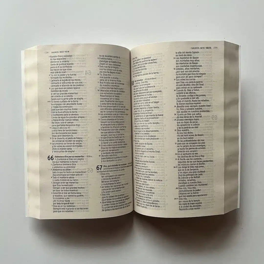 Biblia Traducción en Lenguaje Actual - 1M – 60UE – Letra 8 pts – 14x21 cm – Tapa Rustica – Blanco