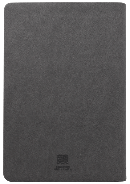 Biblia Reina Valera Contemporánea Concordancia Estandar 14X21Cm Letra Mediana 10 Puntos Gris