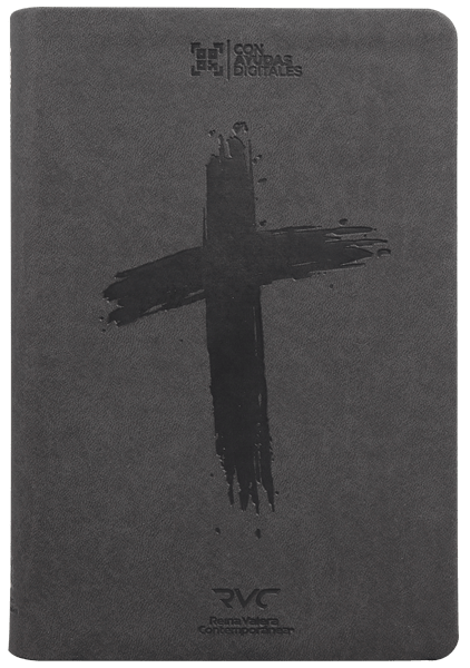 Biblia Reina Valera Contemporánea Concordancia Estandar 14X21Cm Letra Mediana 10 Puntos Gris