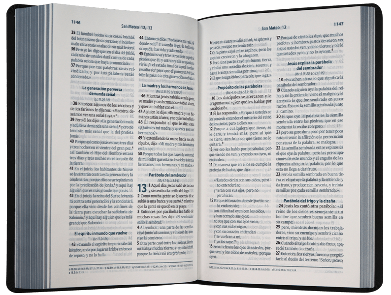 Biblia Reina Valera Contemporánea Concordancia Estandar 14X21Cm Letra Mediana 10 Puntos Gris