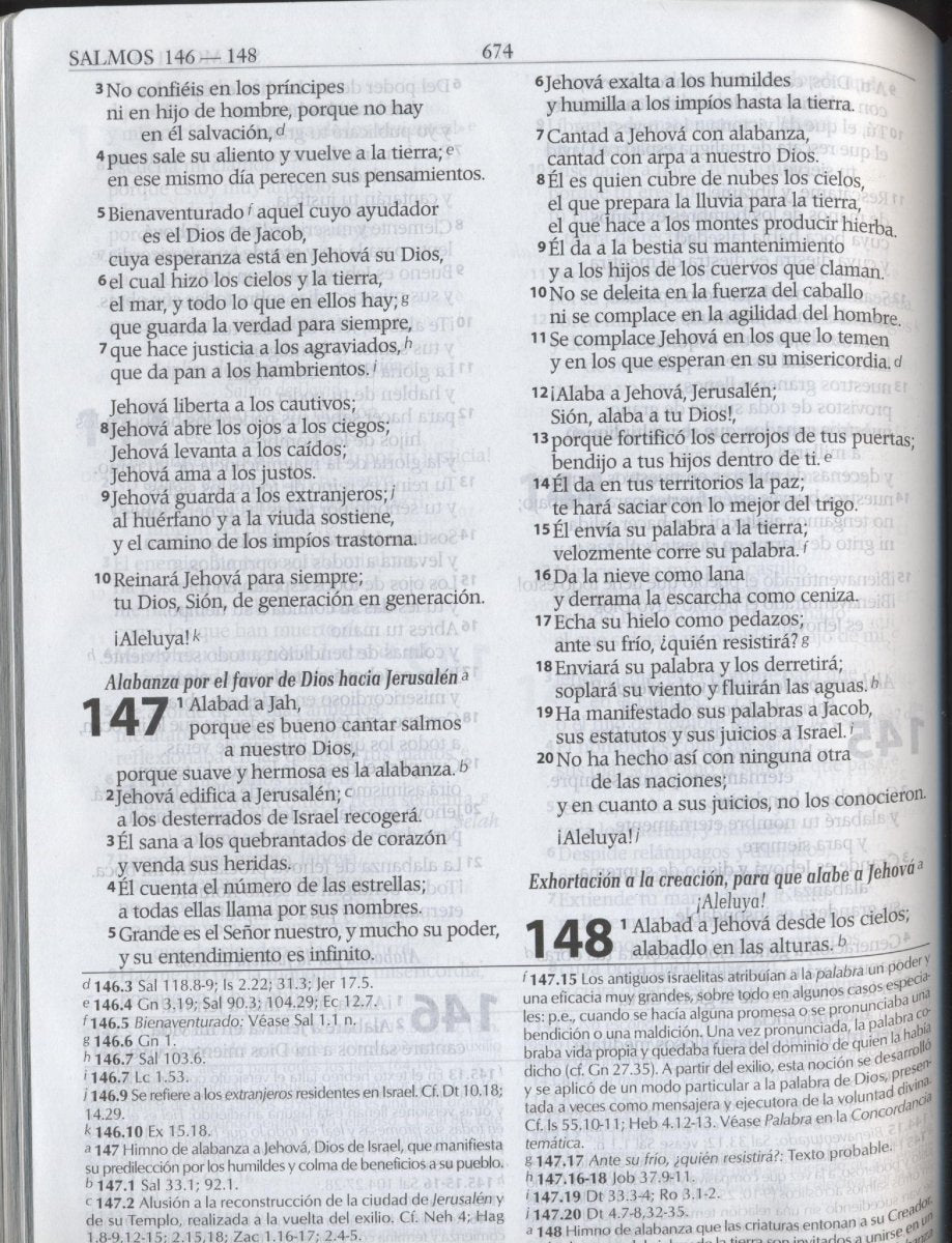 Biblia Reina Valera 1960 letra gigante con cierre imitación piel negra canto plateado