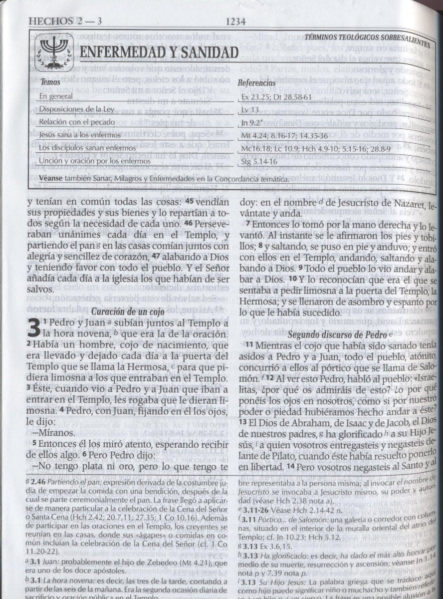 Biblia Reina Valera 1960 letra gigante con cierre imitación piel negra canto plateado