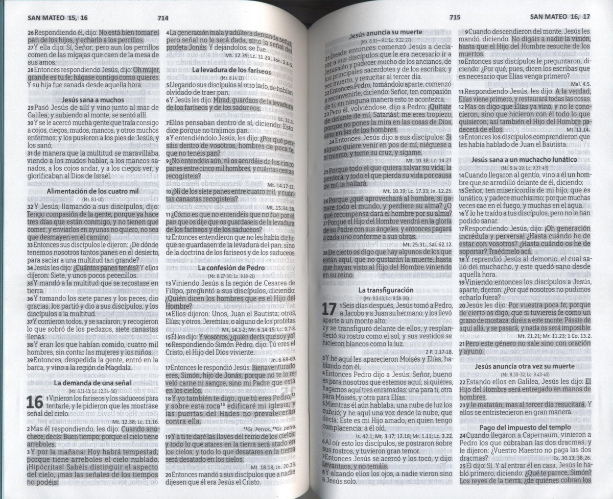 Biblia Reina Valera 1960 letra mediana rosa canto rosado