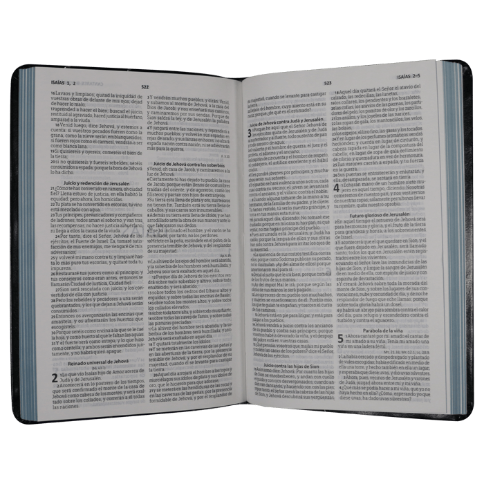 Biblia Reina Valera 1960 letra mediana negra canto gris pintado