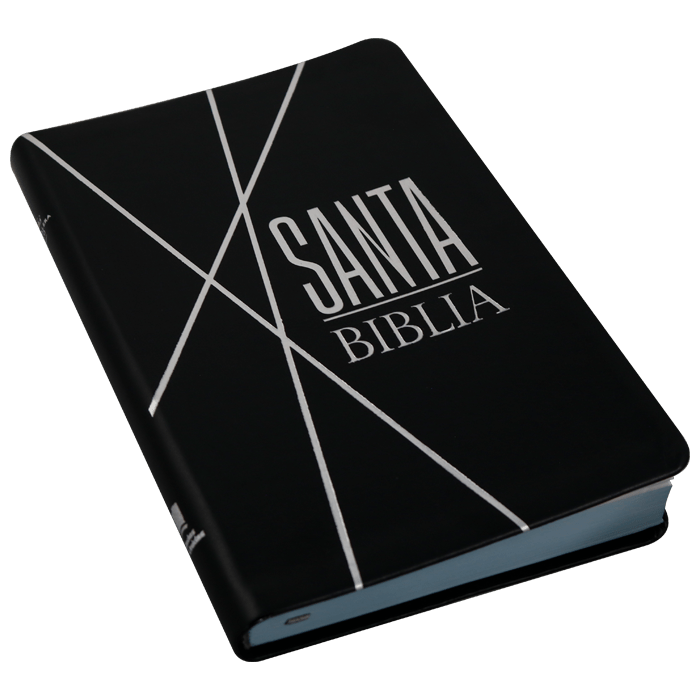 Biblia Reina Valera 1960 letra mediana negra canto gris pintado