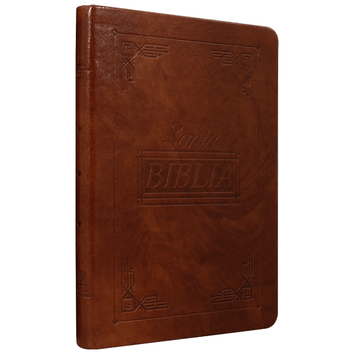 Biblia Reina Valera 1960 letra mediana café canto café pintado