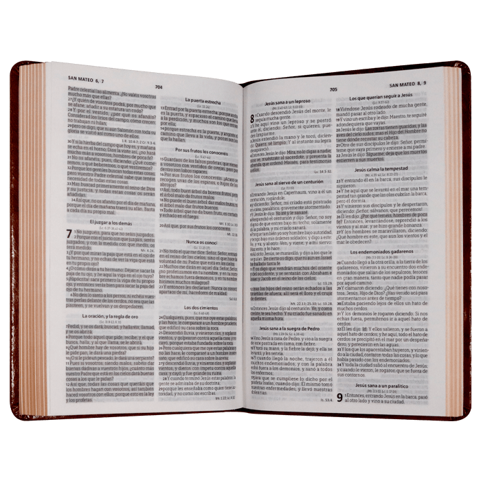 Biblia Reina Valera 1960 letra mediana café canto café pintado