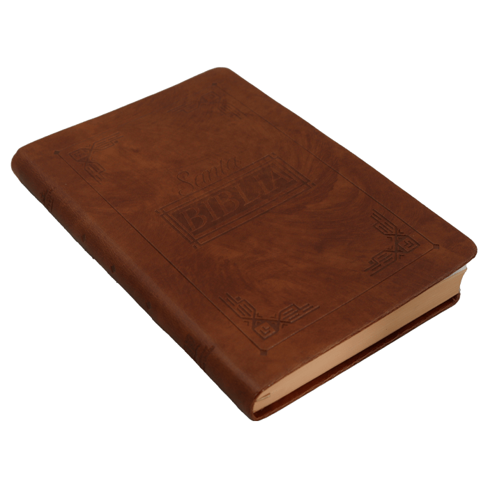 Biblia Reina Valera 1960 letra mediana café canto café pintado